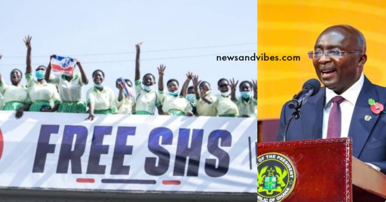 NPP has reduced the number of housegirls through Free SHS - Bawumia