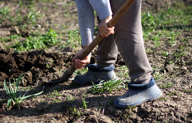 Father accused of killing and secretly burying son in Eastern Region