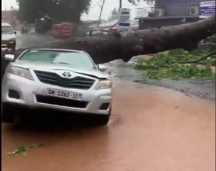 (Video) Heavy rainfall causes trees to fall on vehicles in Darkuman