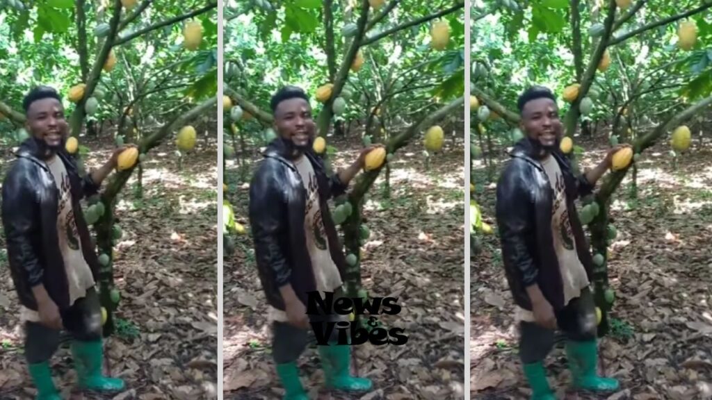 Ghanaian farmer reveals why he smuggles his cocoa to Togo