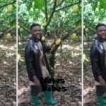 Ghanaian farmer reveals why he smuggles his cocoa to Togo