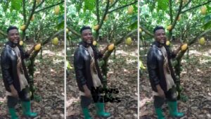 Ghanaian farmer reveals why he smuggles his cocoa to Togo