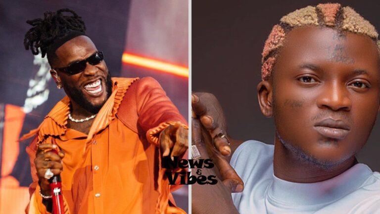 I have more hits than Burna Boy, no debate - Portable