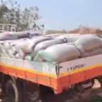 (Video) Four Arrested in Eastern Region for Alleged Cocoa Smuggling