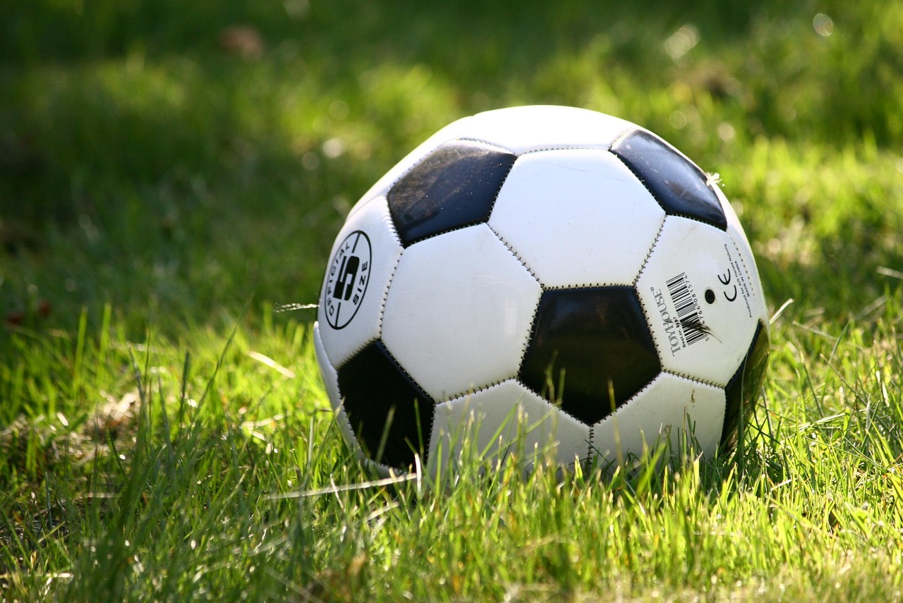 SONA: Mahama Orders Full Disclosure of Government Spending on National Teams
