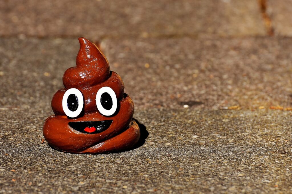Are You Pooping Enough? Experts Reveal the Healthiest Bowel Habits