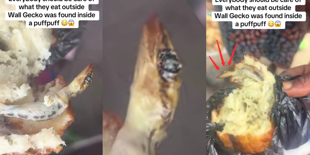 (Video) Woman Finds Dead Lizard in Puff Puff