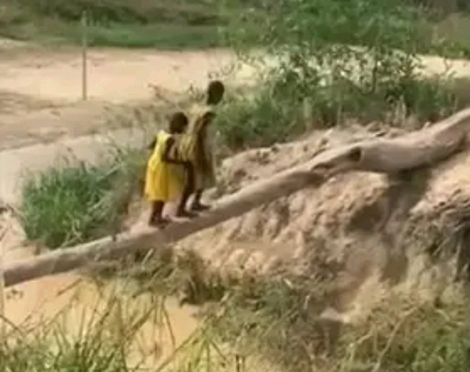 Village Children Walk on Single Log to Cross River to School