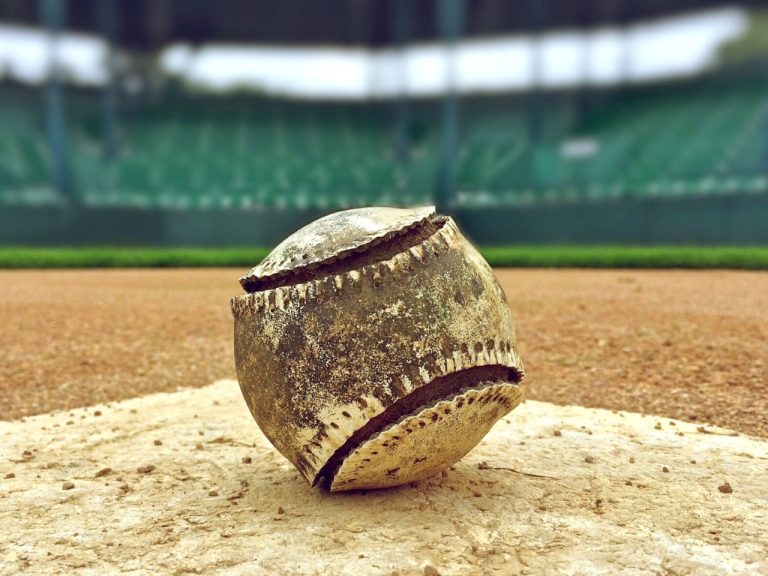 Baseball Game Turns Tragic as Fan Falls 20 Feet Onto Field