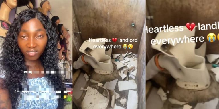 (Video) Lady Destroys Newly Repaired Toilet After Eviction Notice