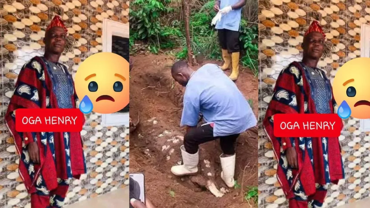 Farmer Murdered by His Own Workers Over Pineapple Sale Cash
