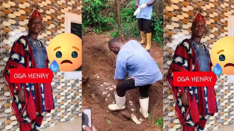 Farmer Murdered by His Own Workers Over Pineapple Sale Cash