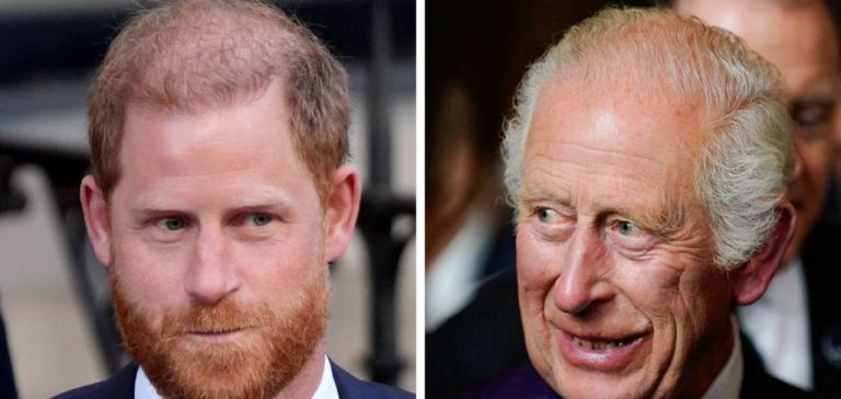 Prince Harry and King Charles Reunite — First Meeting in 18 Months