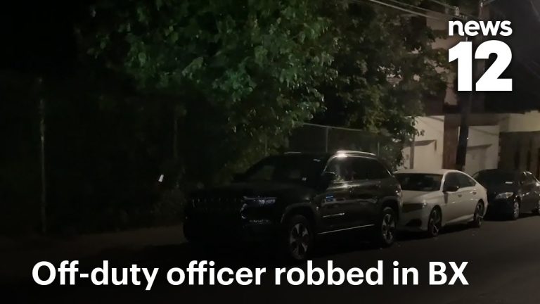 Off-Duty Cop Assaulted During Street Robbery (Video)
