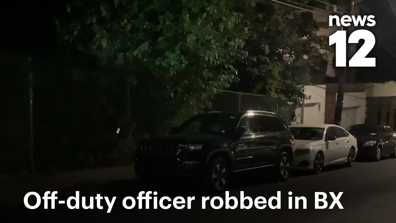 Off-Duty Cop Assaulted During Street Robbery (Video)