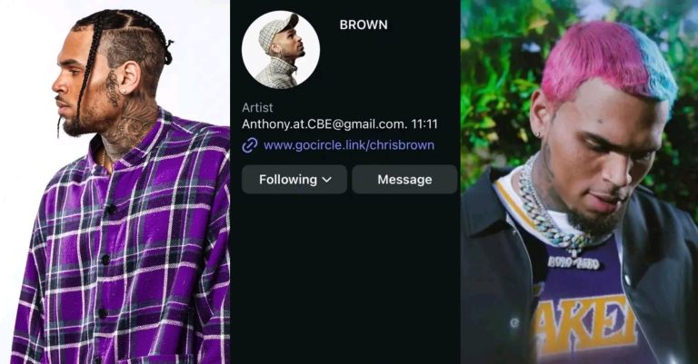 Chris Brown Shocks Fans by Deleting Instagram With 75 Million Followers