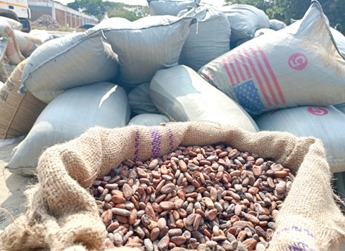 Tema Police Seize Trucks Smuggling 238 Bags of Cocoa at Midnight