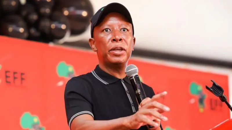 Controversial South African Politician Convicted for Public Firearm Discharge from 2018