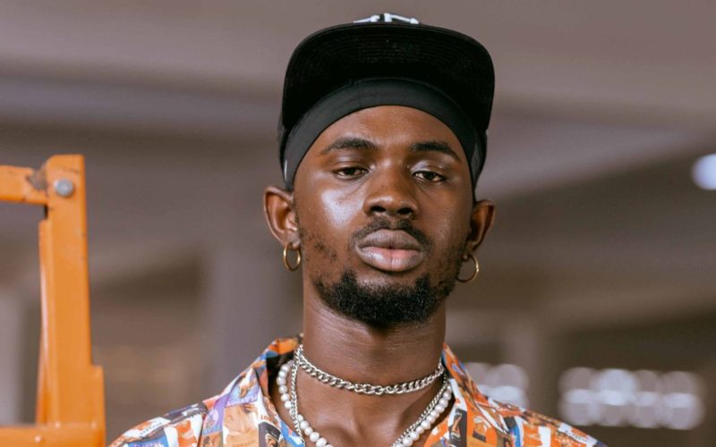 Deaf Fans Moved to Tears as Black Sherif Invites Interpreter On Stage