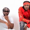 R2Bees Reveal Why They Rarely Grant Interviews