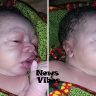 Meet the baby whose face has the internet obsessed