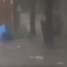 Outrage as video surfaces of Ghanaian dumping trash on flooded street amid heavy rain