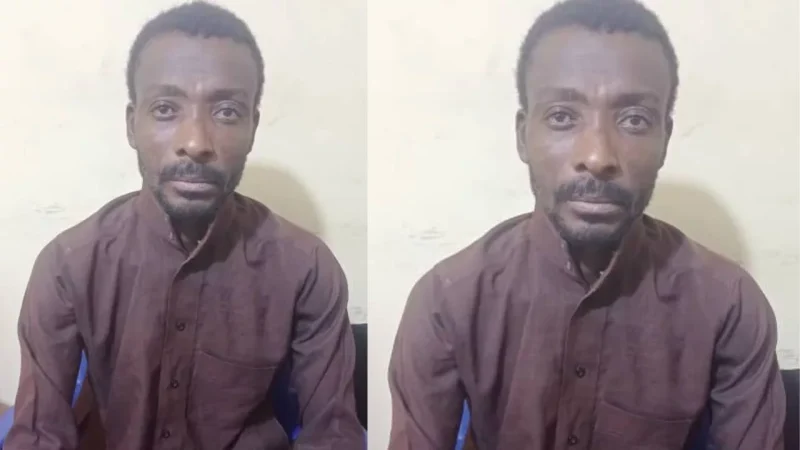 Denu Circuit Court Sentences Father to 10 Years Imprisonment for Defilement of Daughter