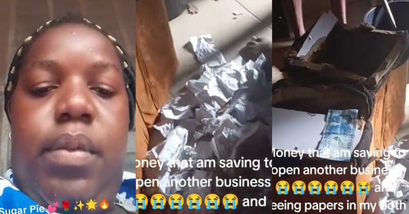 She Saved for Months — What She Found in Her Piggy Bank Left Her in Tears
