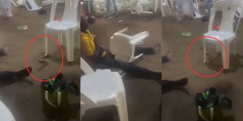 Deliverance Turns Wild After Worshipper Allegedly Expels Snake