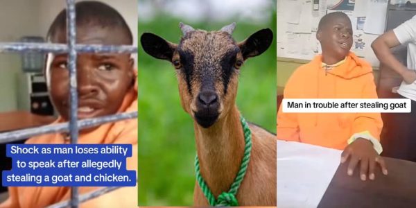 Teen Loses Voice, Starts Making Goat and Chicken Sounds After Stealing Livestock