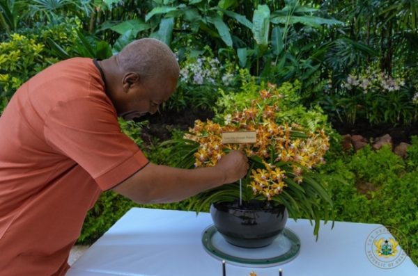 Singapore Celebrates Ghana’s Former President With Living Floral Tribute
